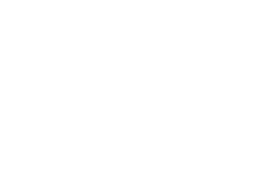 VÖLKL