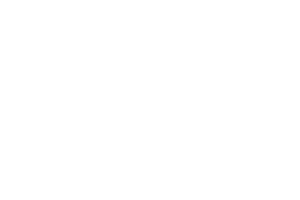 SPYDER