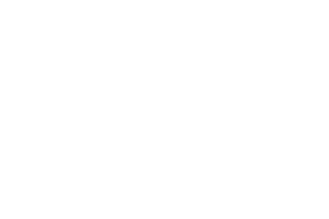 TONI SAILER